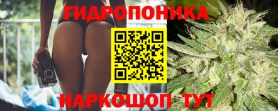 молекула духа Будённовск
