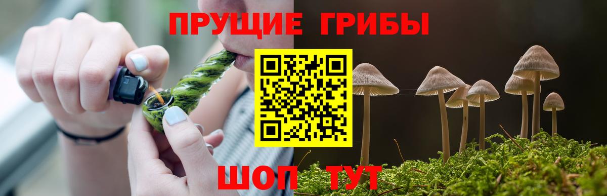 Самара  Псилоцибиновые грибы Cubensis  Вход с VPN 